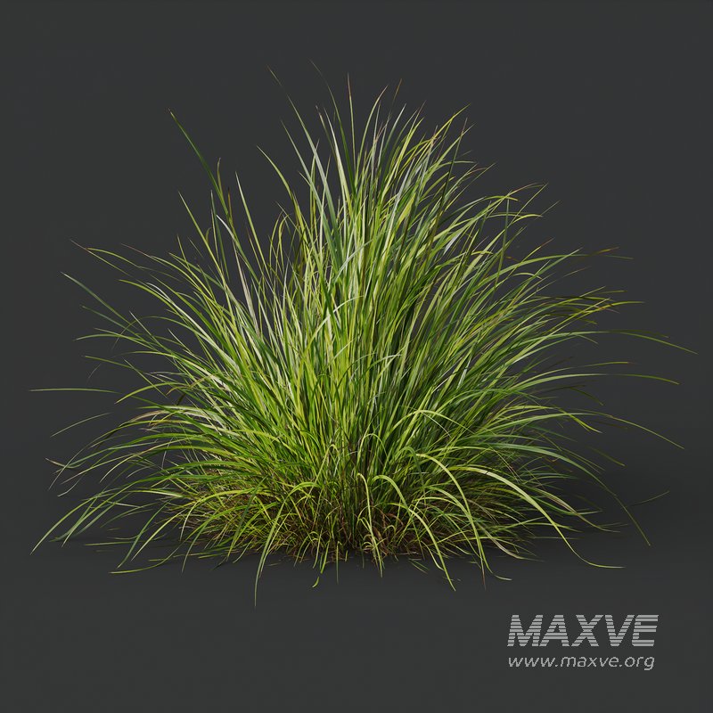Grass 03 - Image 2