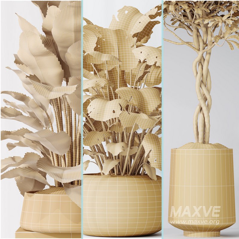 Indoor plant set 04 - Image 5