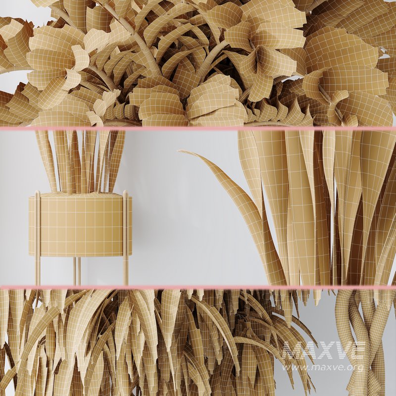 Indoor plant set 09 - Image 6