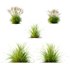 Grass 03 - Thumbnail 3