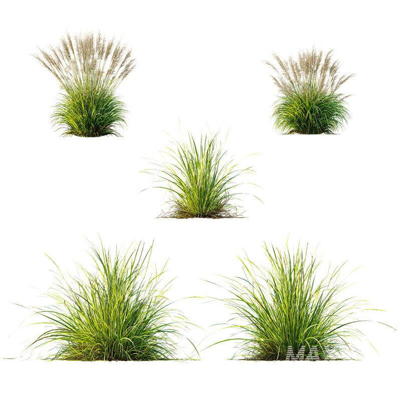 Grass 03 - Image 3
