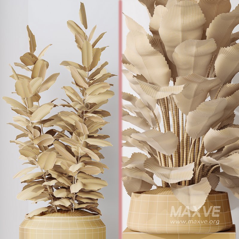 Indoor plant set 07 - Image 4