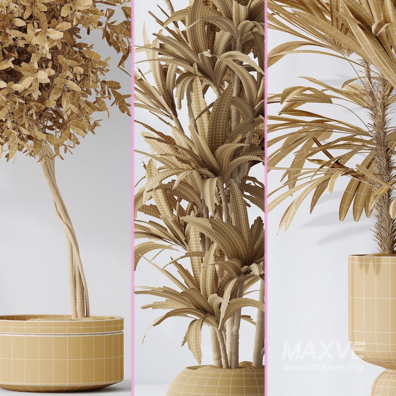 Indoor plant set 02 - Image 6