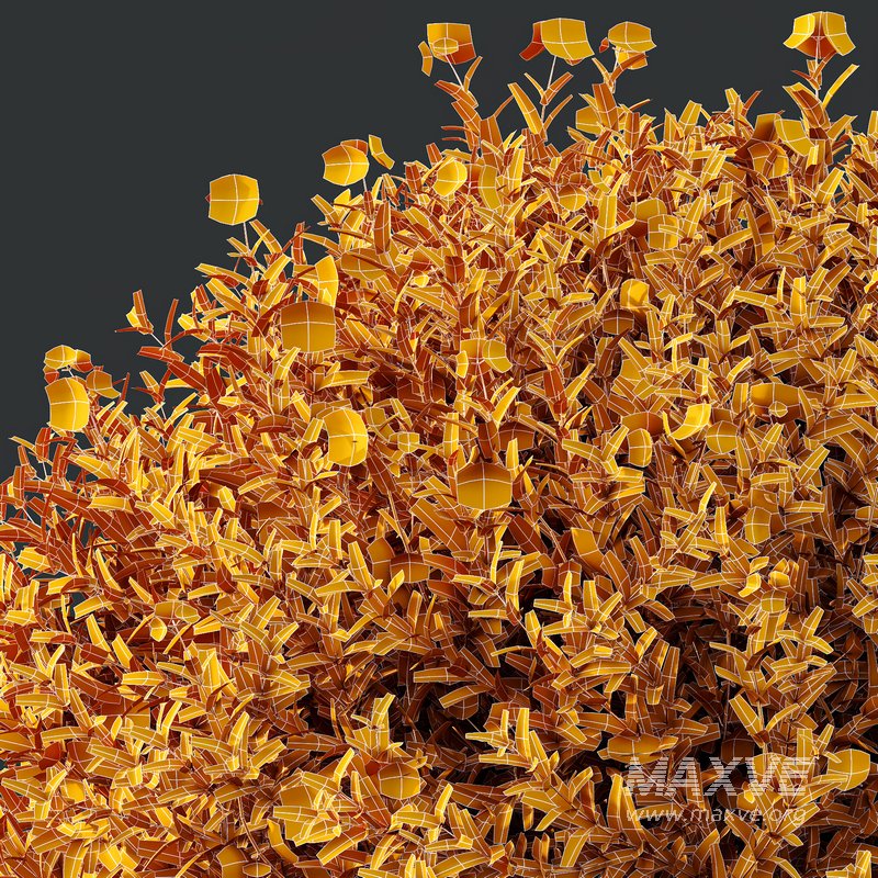 spring Flowering bush - Image 6