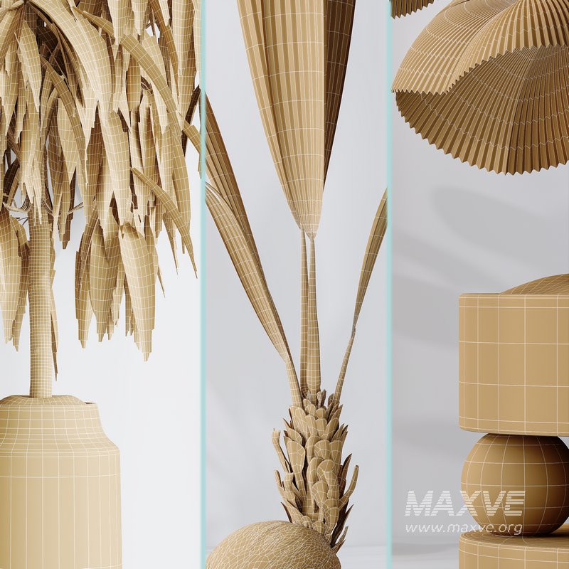 Indoor plant set 01 - Image 7