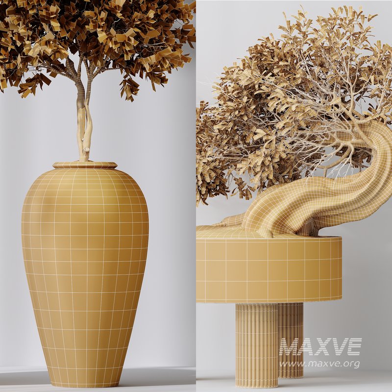 Indoor plant set 17 - Image 6