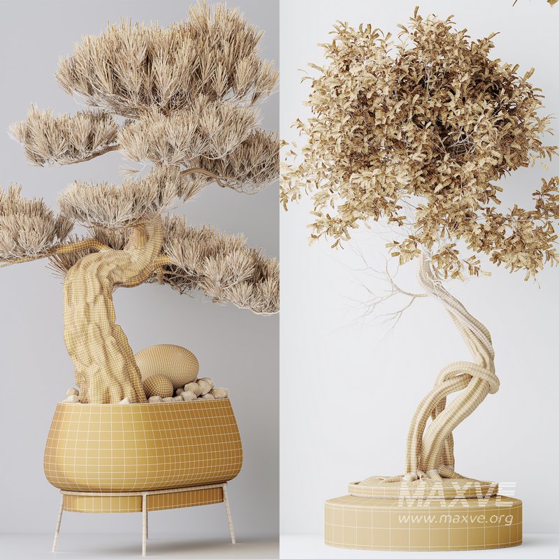 Indoor plant set 15 - Image 7