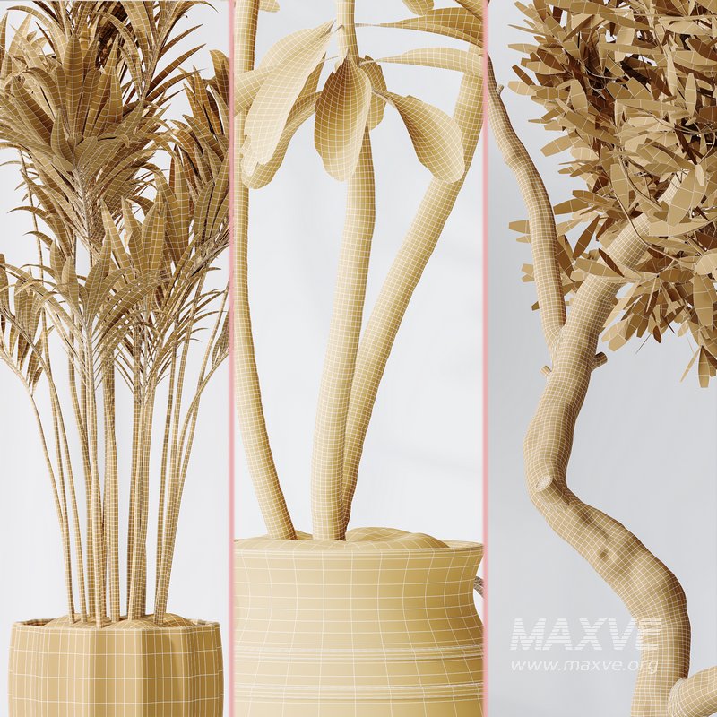 Indoor plant set 03 - Image 7