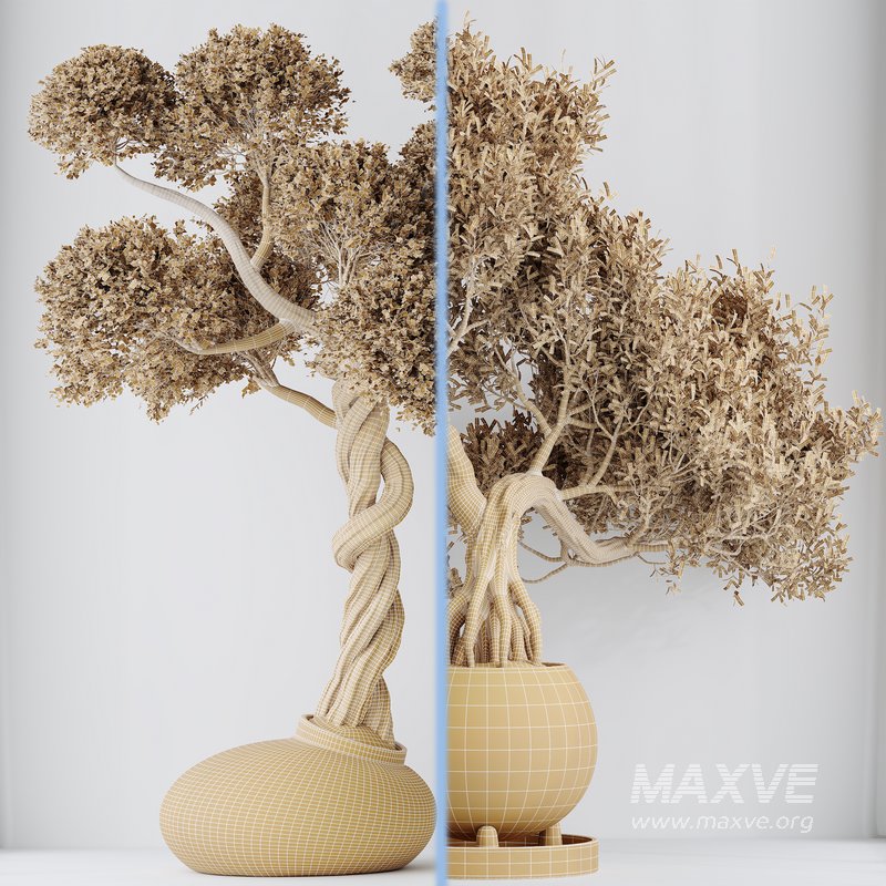 indoor plant set 13 - Image 6