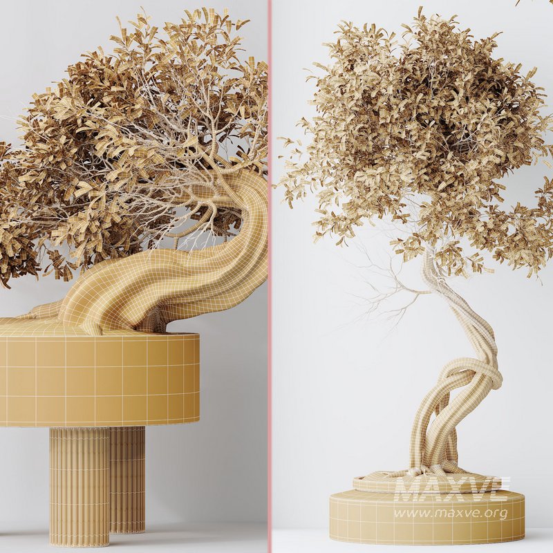 Indoor plant set 12 - Image 6