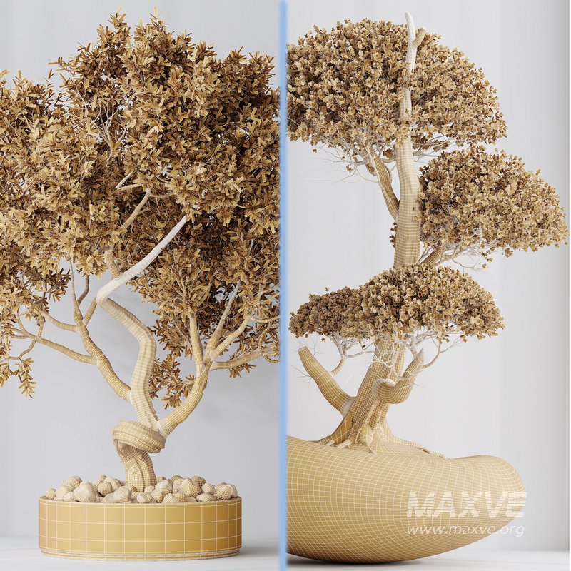 Indoor plant set 14 - Image 5