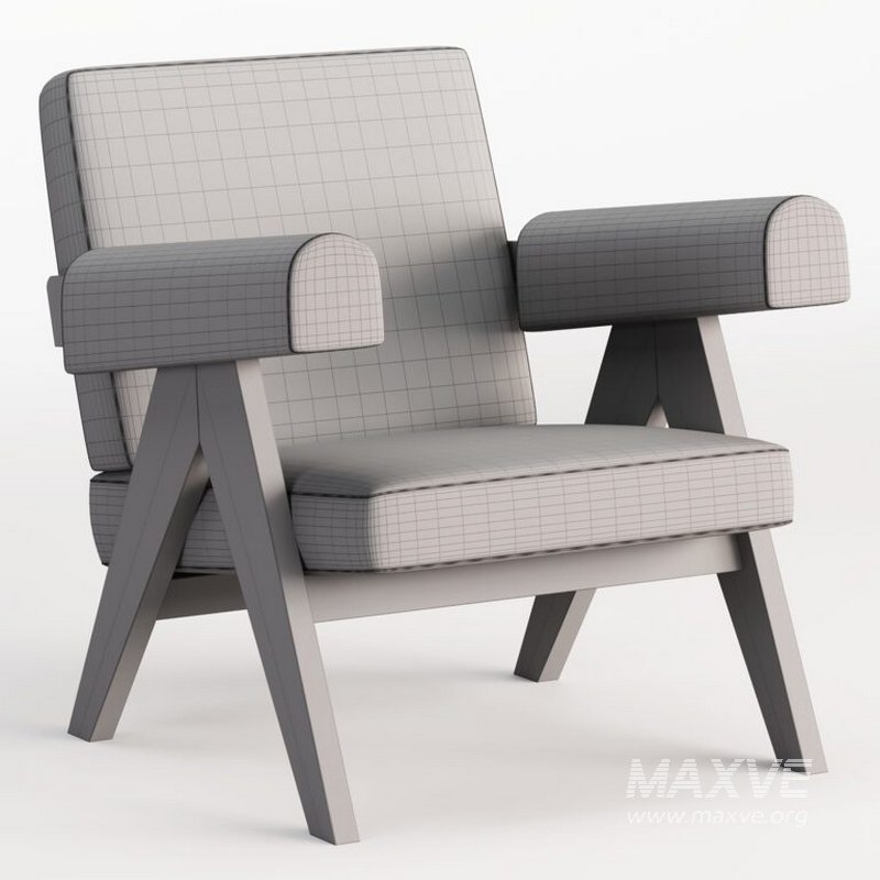 053 Capitol Complex Armchair by Pierre Jeanneret - Image 4
