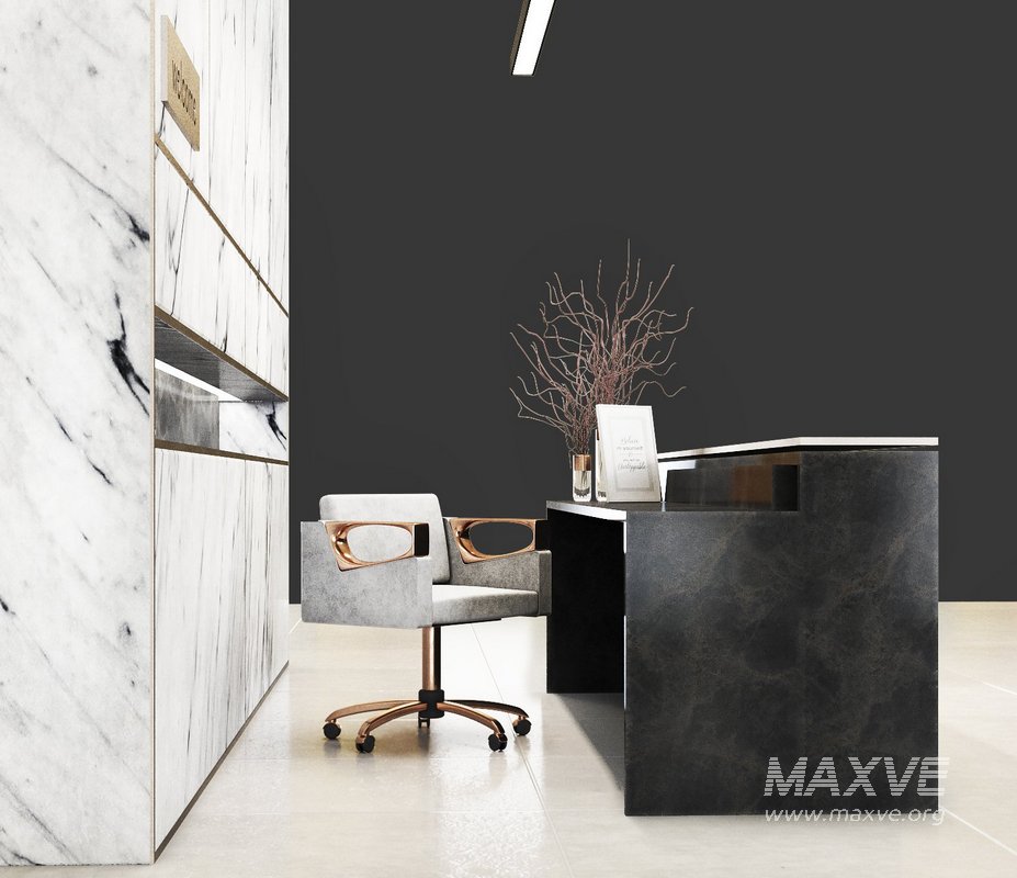 Reception white marble - Image 3