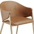 Luxury Brass Mink Velvet Dining Chair - Thumbnail 2