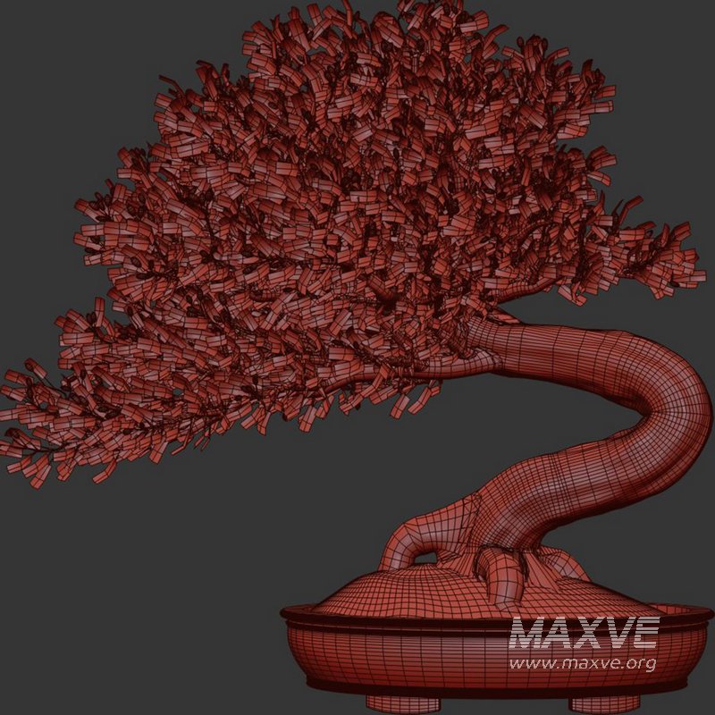 Bonsai Tree set6 - Image 4