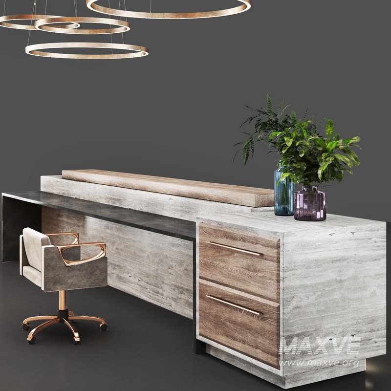 Reception07 - Image 4