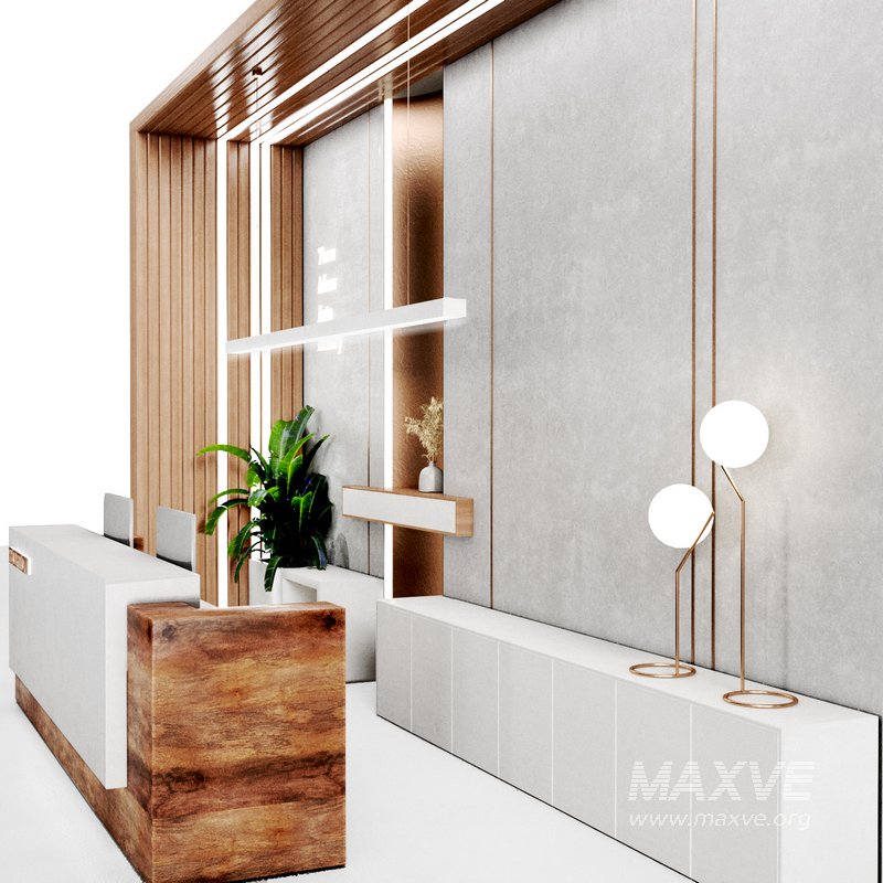 Reception 11 minimal,lobby - Image 4