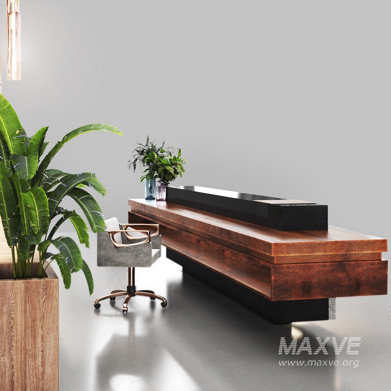 Reception08 - Image 5