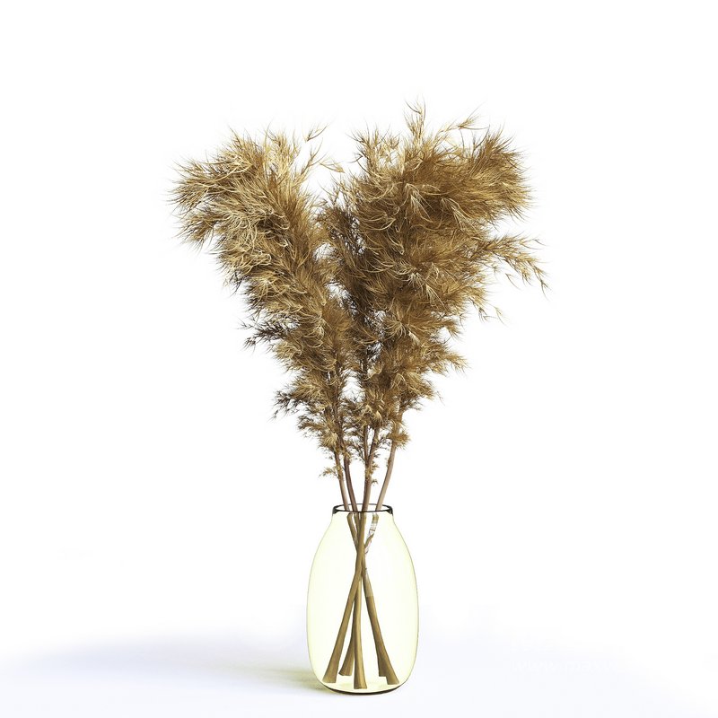 pompas bouquet - Image 1