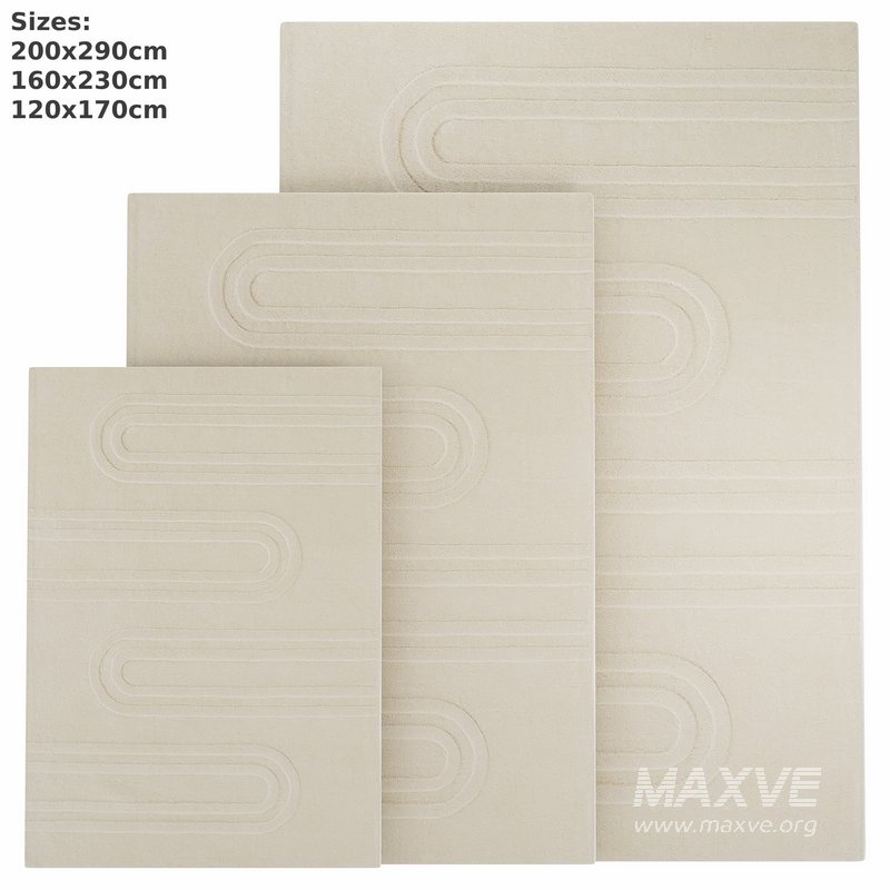 Ary Graphic Textured 100 Wool Rug - Image 1