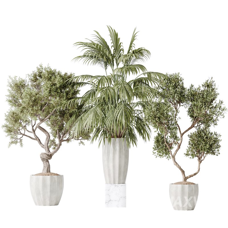 Indoor plant set 34 - Image 2