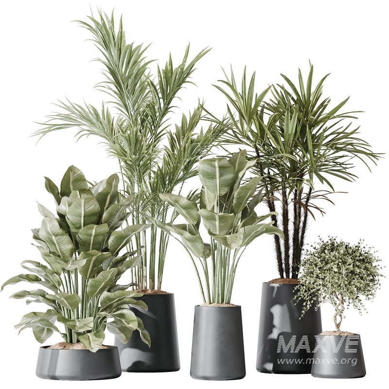 Indoor plant set 30 - Image 1