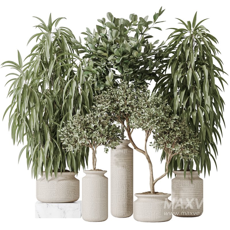 Indoor plant set 43 - Image 1