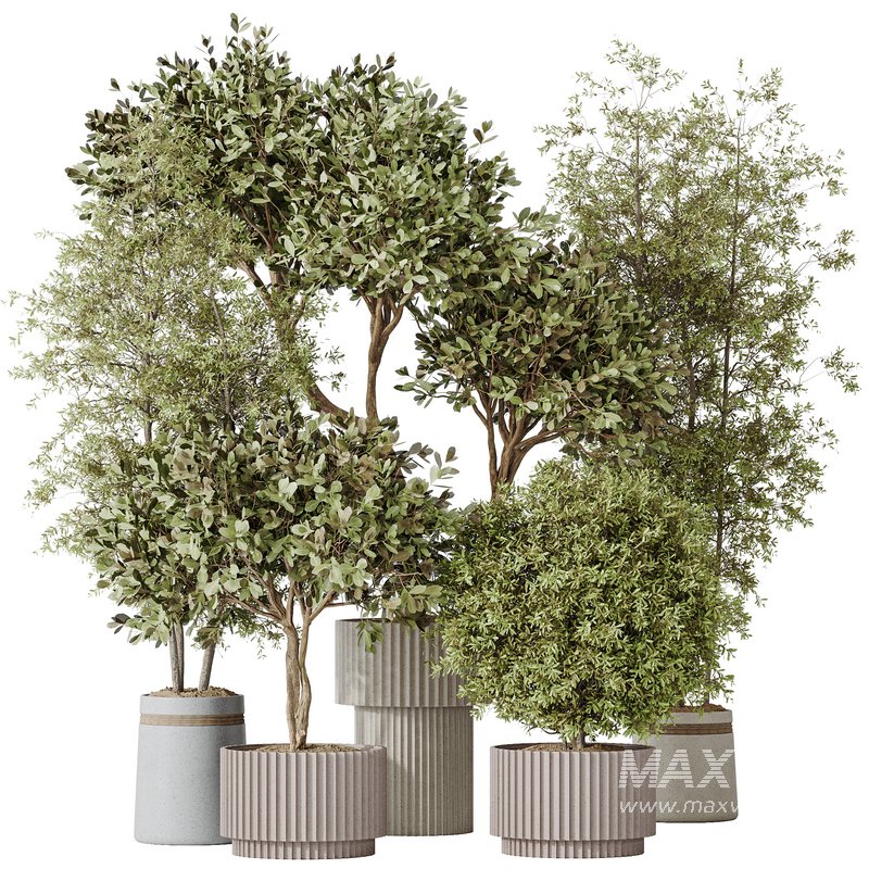 Indoor plant set 55 - Image 1