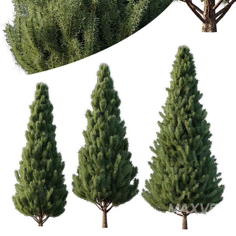 pin tree 03 - Image 1
