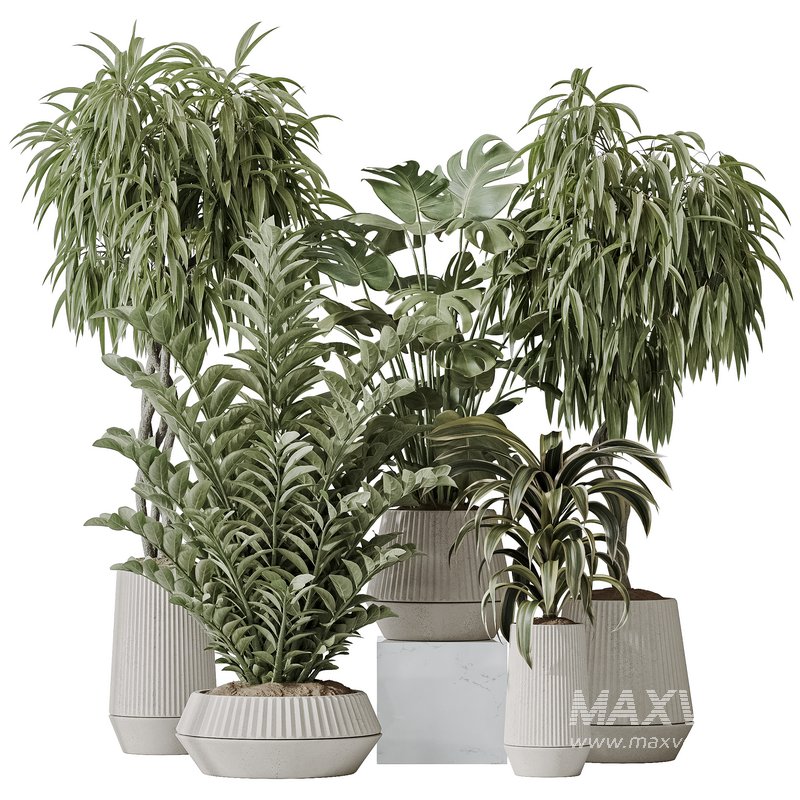 Indoor plant set 25 - Image 1