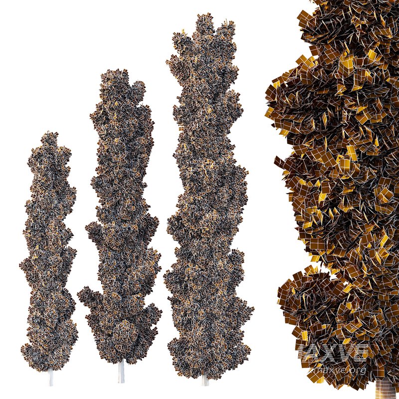 italian Cypress Tree04 - Image 2