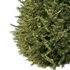 Spruce Tree06 - Thumbnail 3