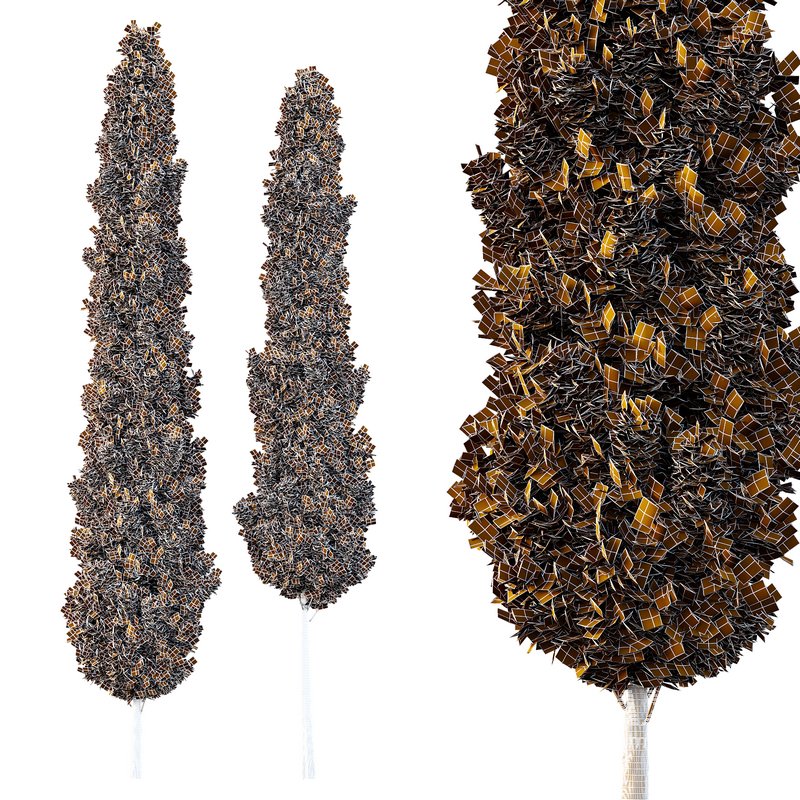 Italian Cypress Tree07 - Image 2