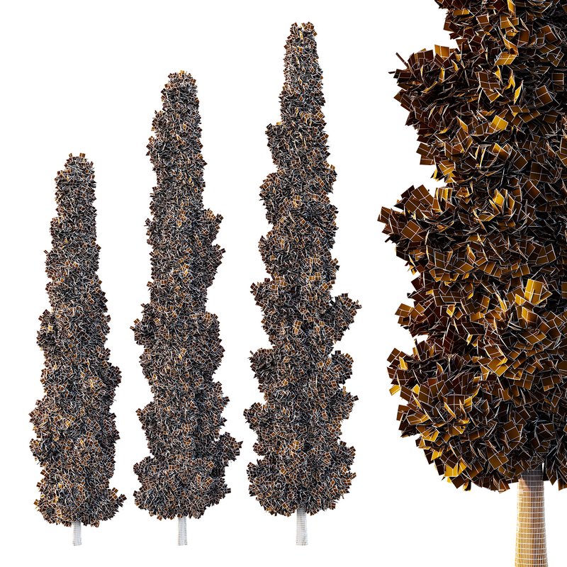 Italian Cypress Tree05 - Image 2