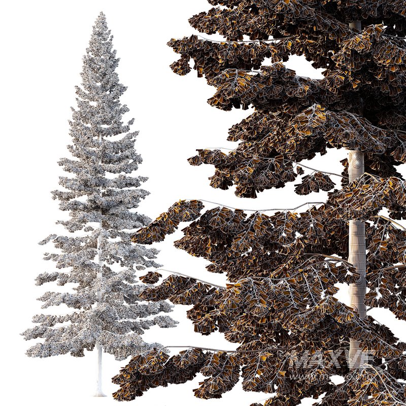 Spruce Tree05 - Image 2