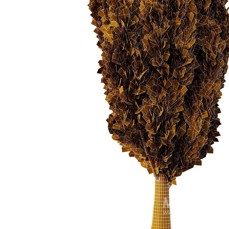 Italian Cypress Tree01 - Image 3