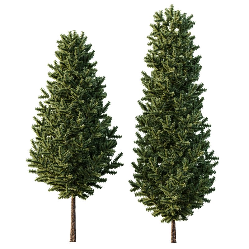 pin Tree02 - Image 3