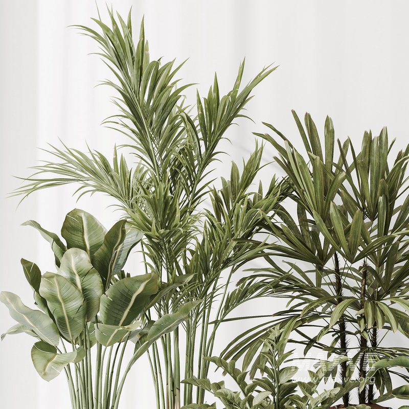 Indoor plant set 40 - Image 2