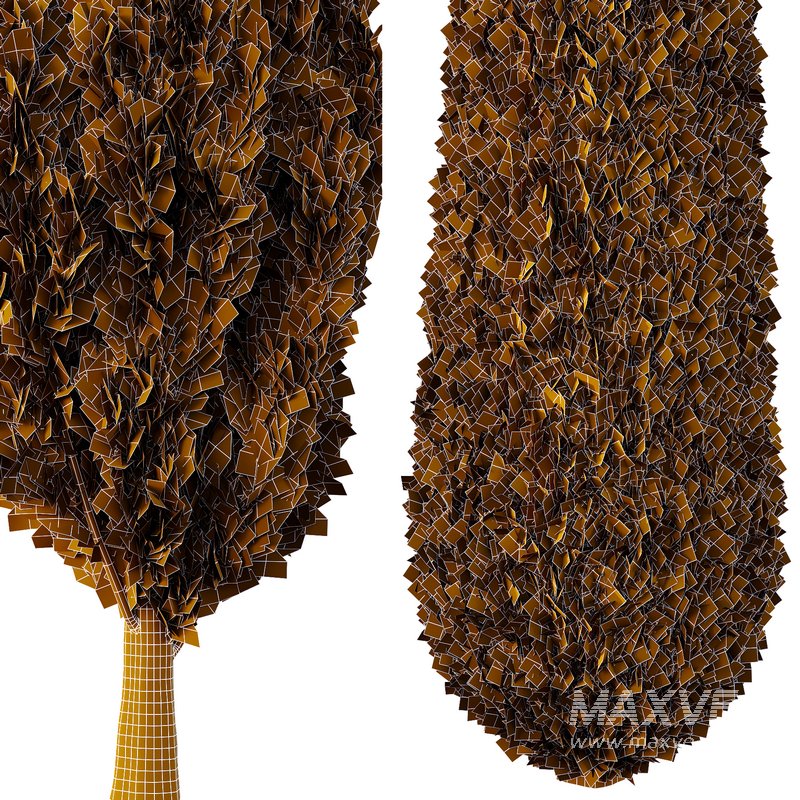 Italian Cypress Tree11 - Image 3