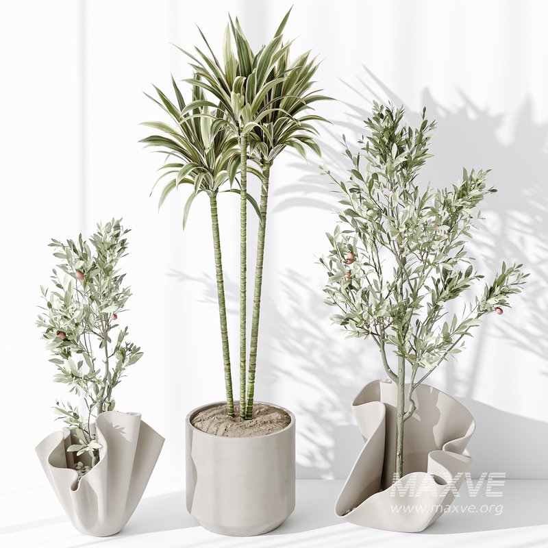 Indoor plant set 33 - Image 4