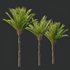 HQ Plants Phoenix Dactylifera Date Jurassic Palm Tree - Thumbnail 2