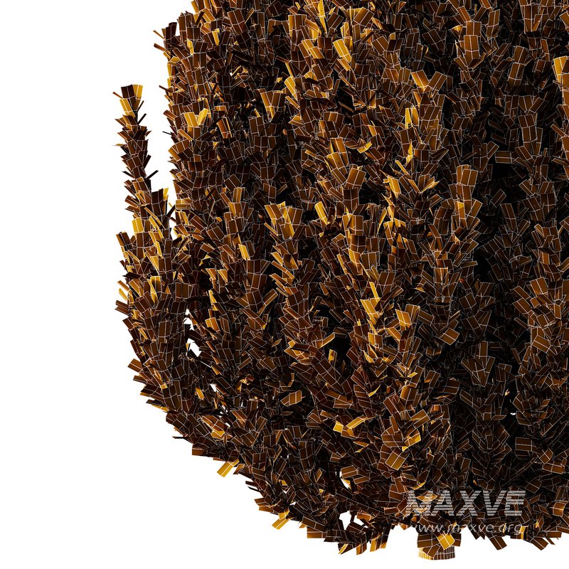 4 different bush types - Image 3