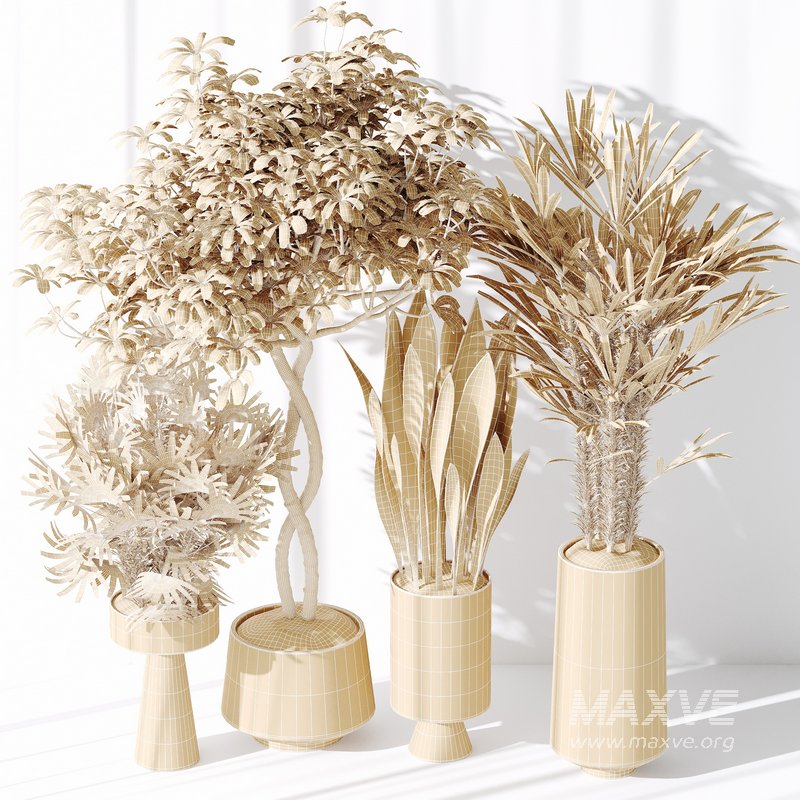 Indoor plant set 29 - Image 3