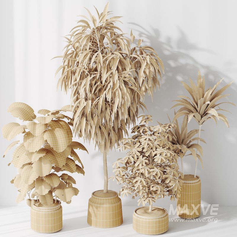 Indoor plant set 39 - Image 3