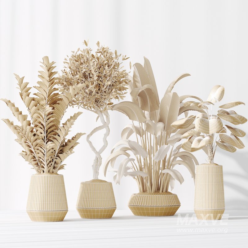 Indoor Plants Set 41 - Image 3