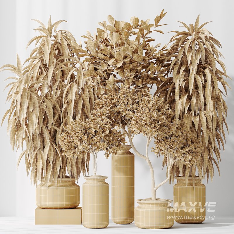 Indoor plant set 43 - Image 3