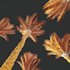 HQ Plants Phoenix Dactylifera Date Jurassic Palm Tree - Thumbnail 3
