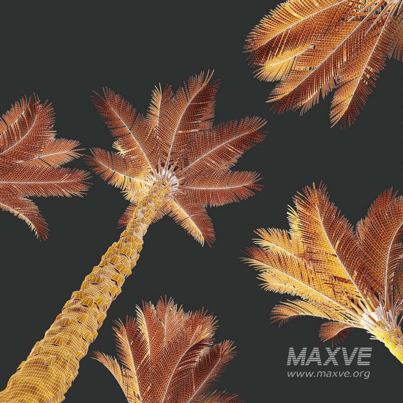 HQ Plants Phoenix Dactylifera Date Jurassic Palm Tree - Image 3