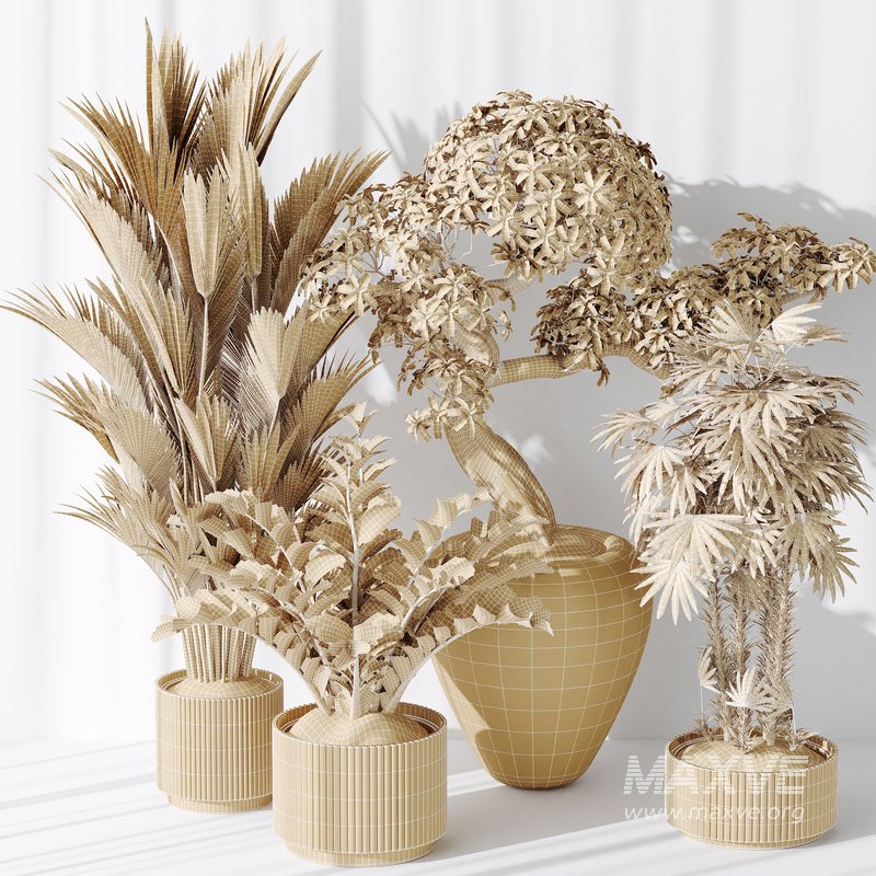 Indoor plant set 27 - Image 5