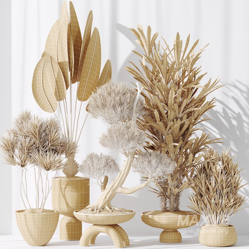 Indoor plant set 28 - Image 3